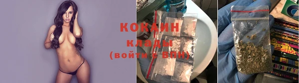 мдпв Козловка