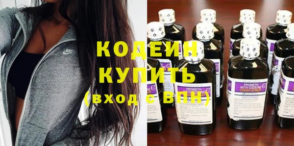 крисы Кодинск