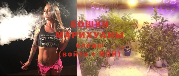 крисы Кодинск