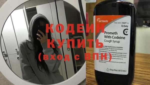 крисы Кодинск