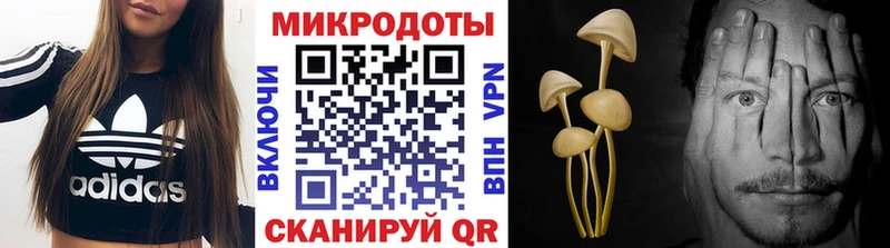 Купить  Тайшет  Псилоцибиновые грибы Psilocybine cubensis 